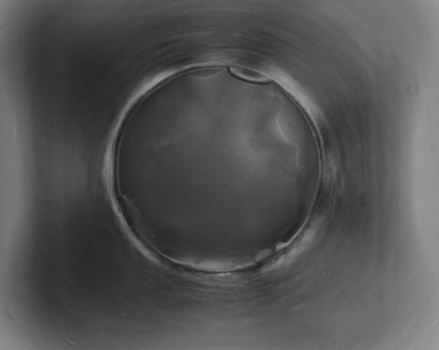 X0000102781053200808181146