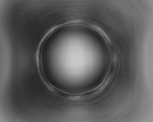 X0000102781054200808181146