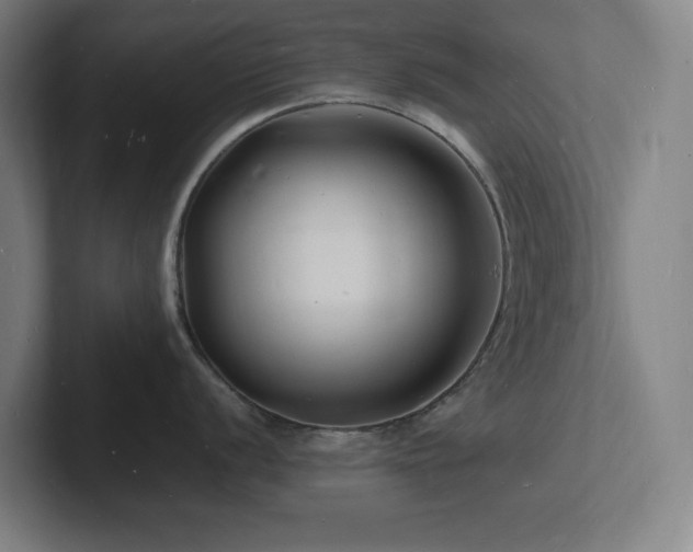 X0000102781056200808181146