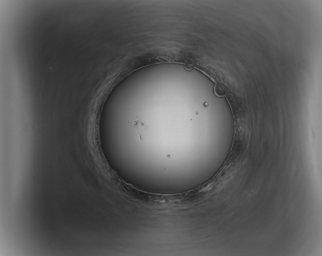 X0000102781057200808181145