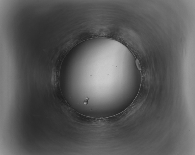 X0000102781058200808181145