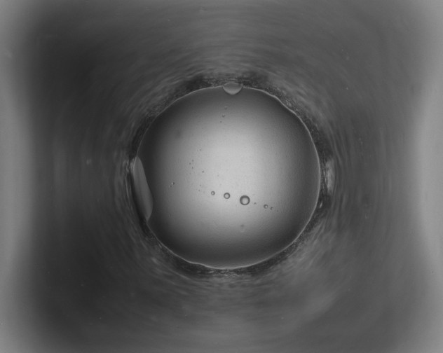 X0000102781059200808181145