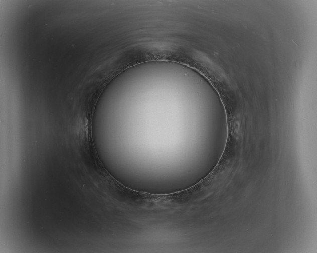 X0000102781061200808181145