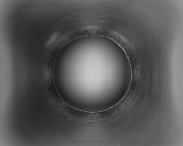 X0000102781062200808181145