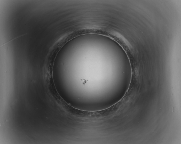 X0000102781064200808181145