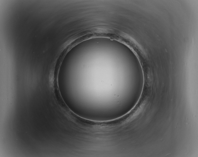 X0000102781065200808181145