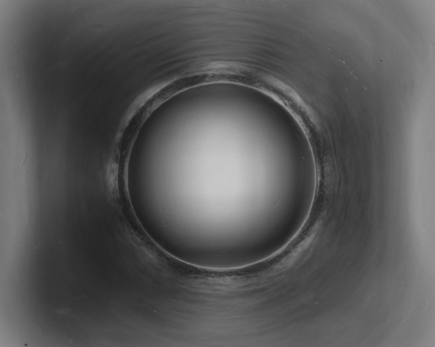 X0000102781066200808181145