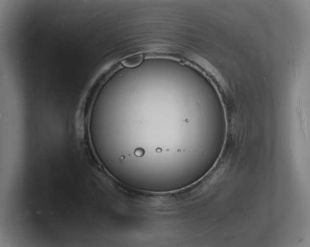 X0000102781067200808181145