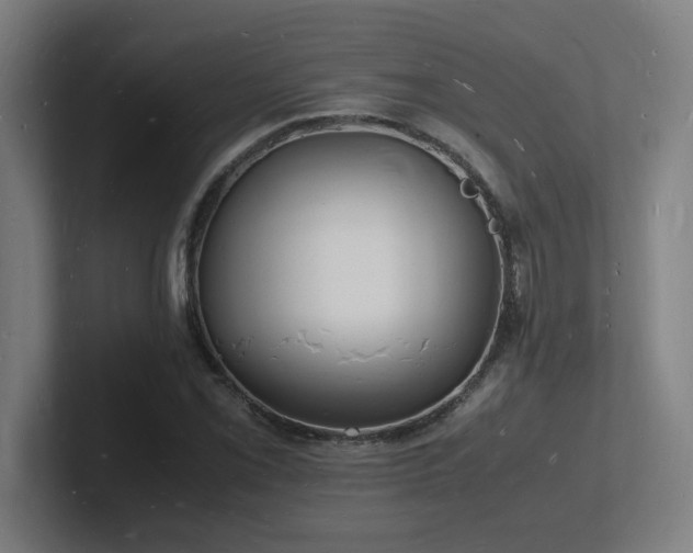 X0000102781069200808181145