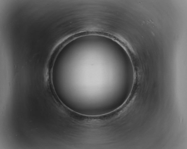 X0000102781070200808181145