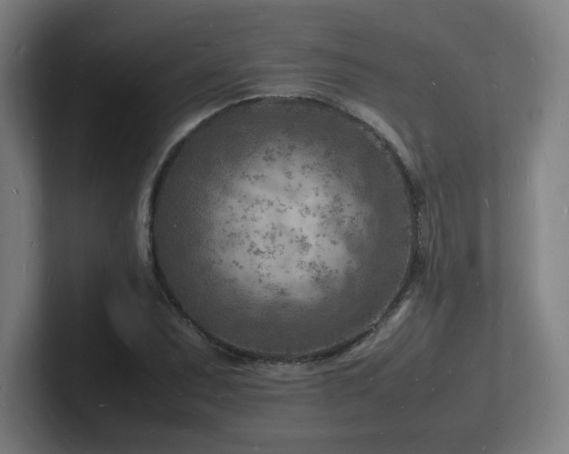 X0000102781071200808181145