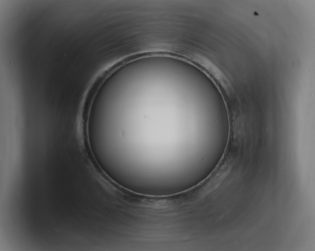 X0000102781072200808181145