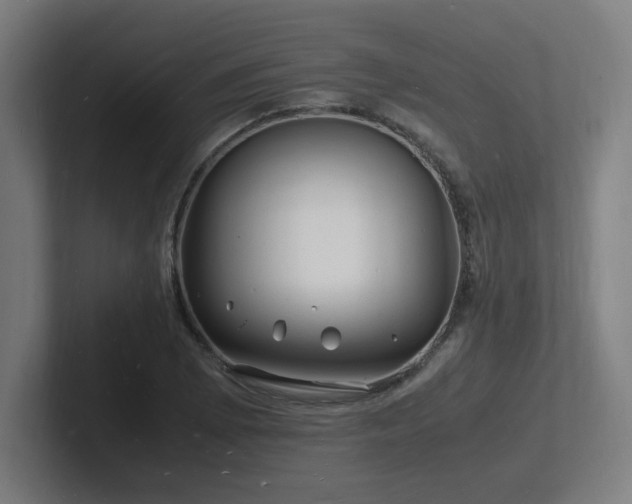 X0000102781073200808181145