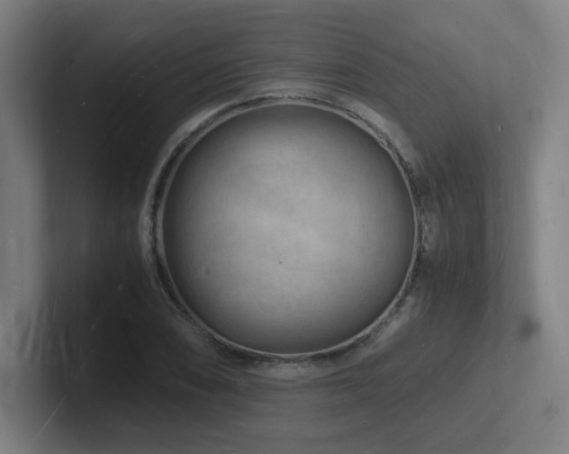 X0000102781074200808181145