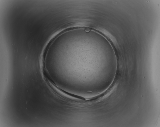 X0000102781077200808181145