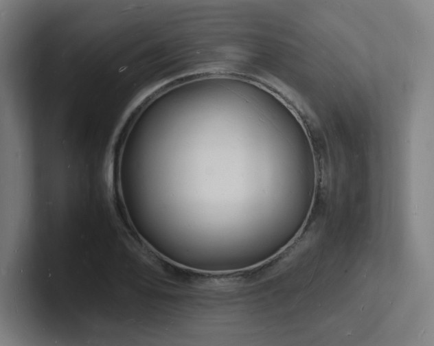 X0000102781078200808181145