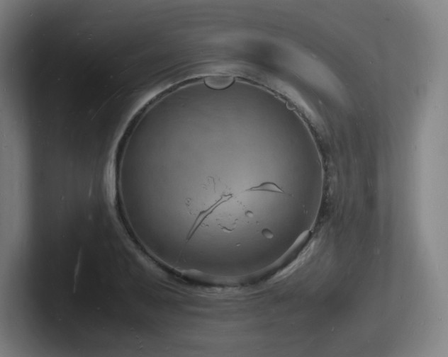 X0000102781079200808181145