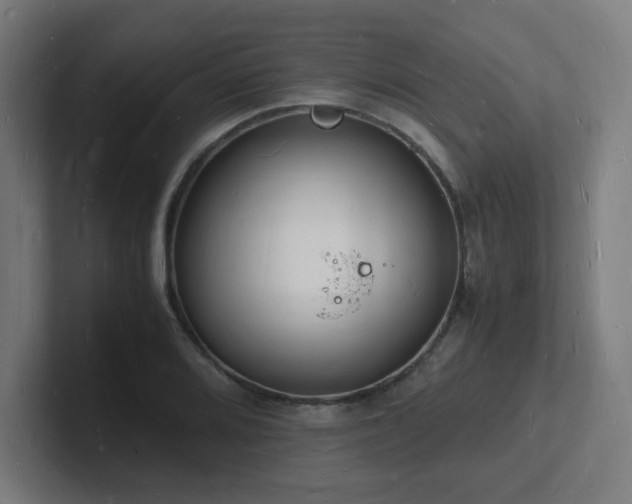 X0000102781080200808181145