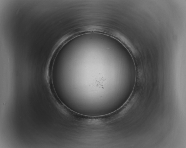 X0000102781082200808181145