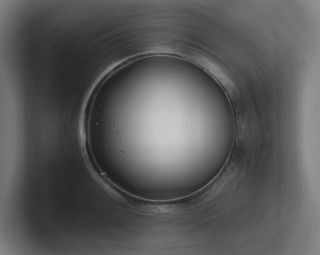 X0000102781084200808181145