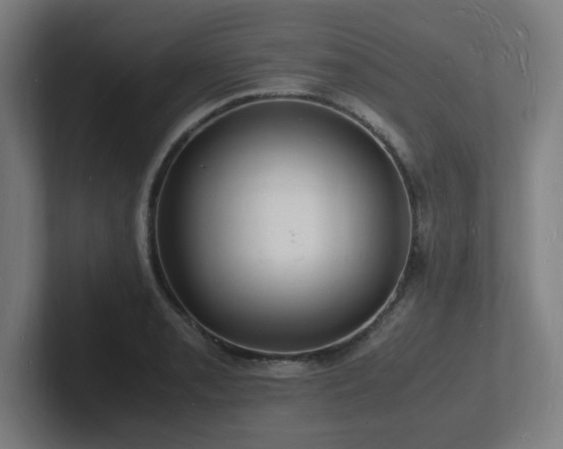 X0000102781085200808181145