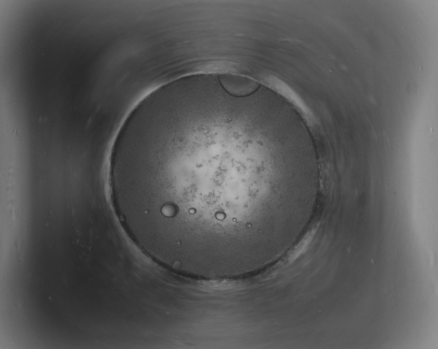 X0000102781087200808181145