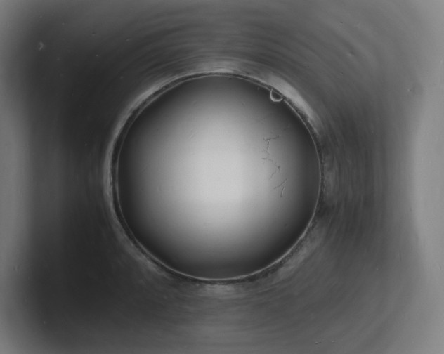 X0000102781088200808181145