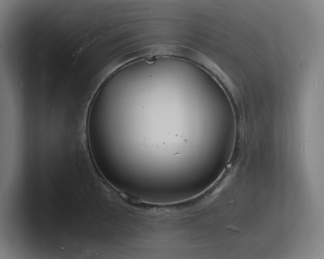 X0000102781089200808181145