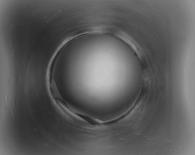 X0000102781091200808181145