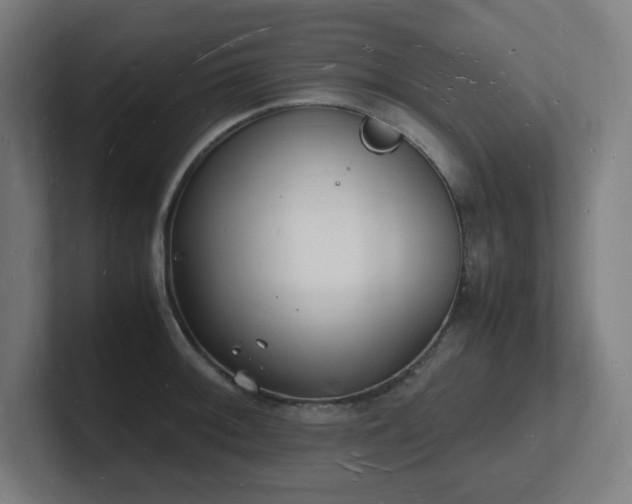 X0000102781092200808181145