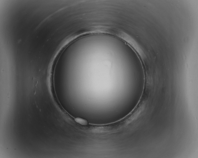 X0000102781093200808181145