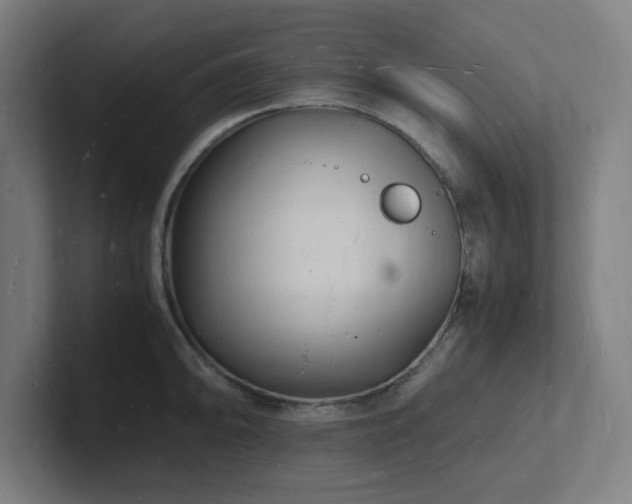 X0000102781094200808181145