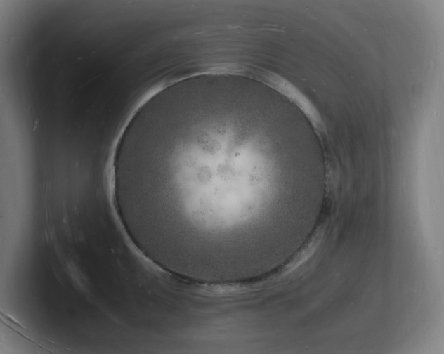 X0000102781095200808181145