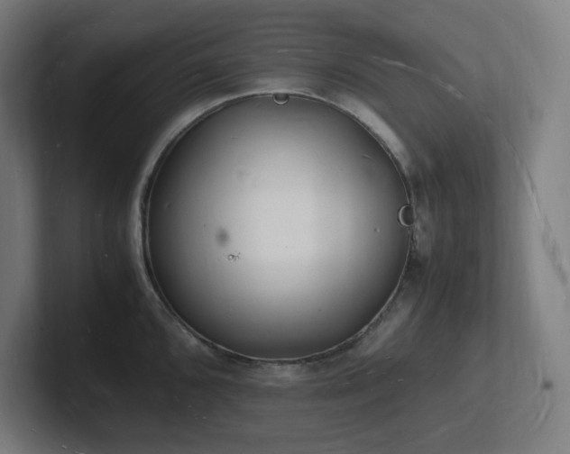 X0000102781096200808181145