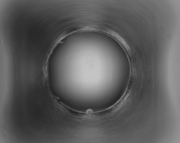 X0000102781097200808181145