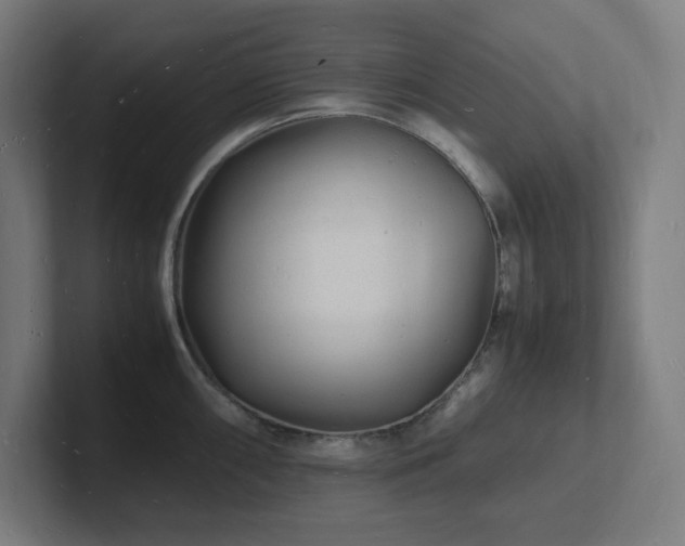 X0000102781098200808181145