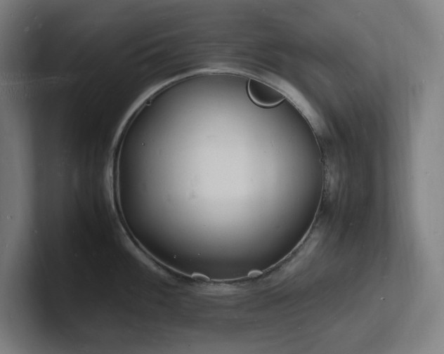 X0000102781100200808181144