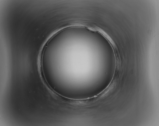 X0000102781101200808181144