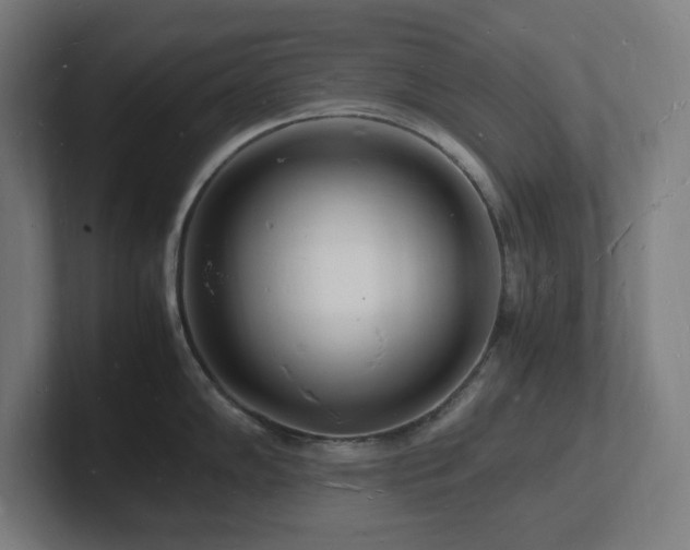 X0000102781102200808181144