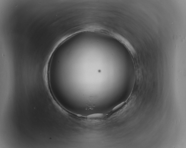 X0000102781103200808181144