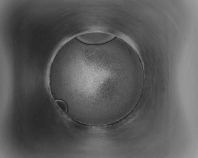 X0000102781104200808181144