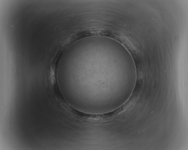 X0000102781106200808181144