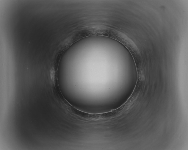 X0000102781108200808181144