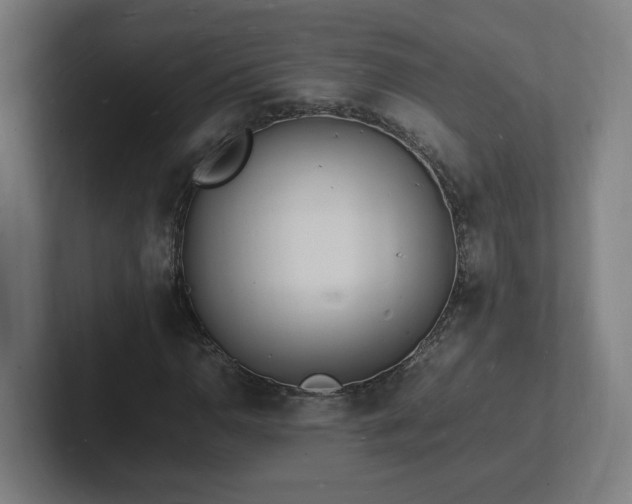 X0000102781110200808181144