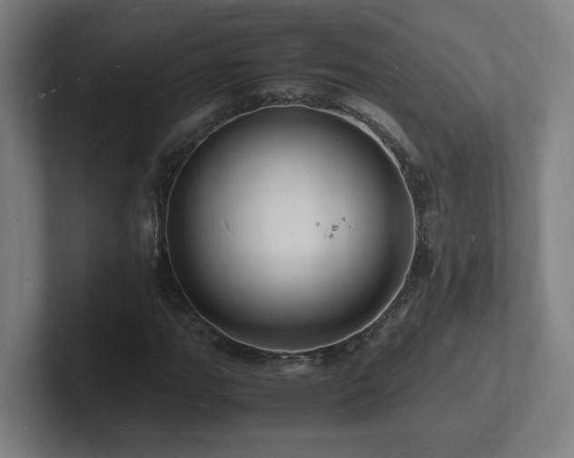 X0000102781111200808181144