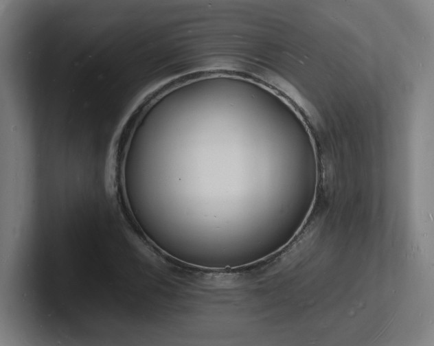 X0000102781116200808181144