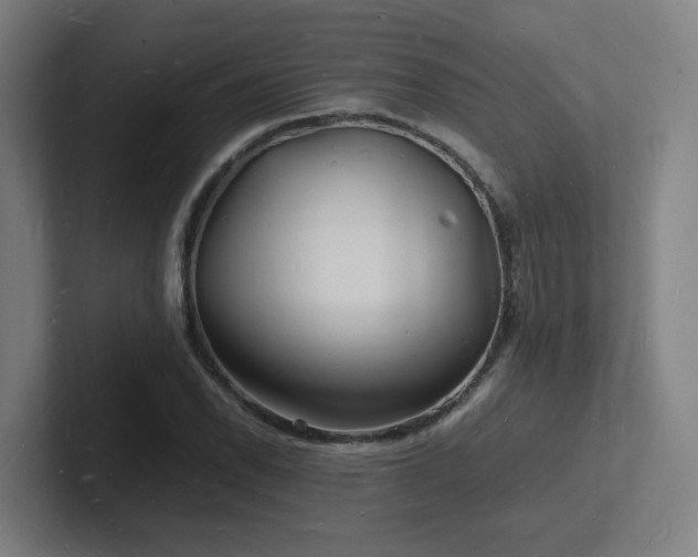 X0000102781118200808181144