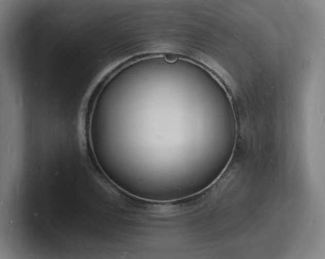 X0000102781120200808181144