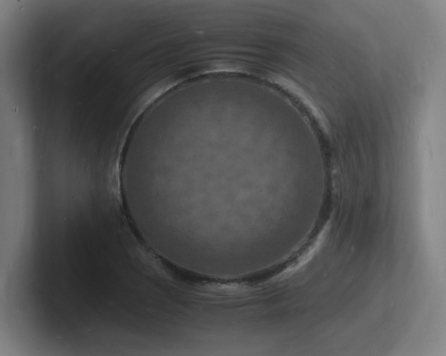 X0000102781121200808181144