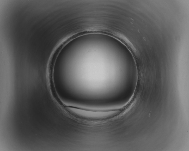 X0000102781122200808181144